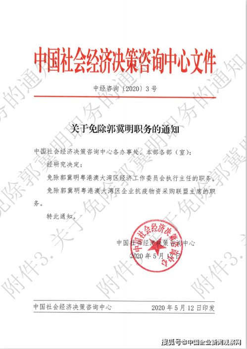 中國社會經(jīng)濟(jì)決策咨詢中心關(guān)于郭冀明與馬宇光勾結(jié)誣陷等不法行為的嚴(yán)正聲明